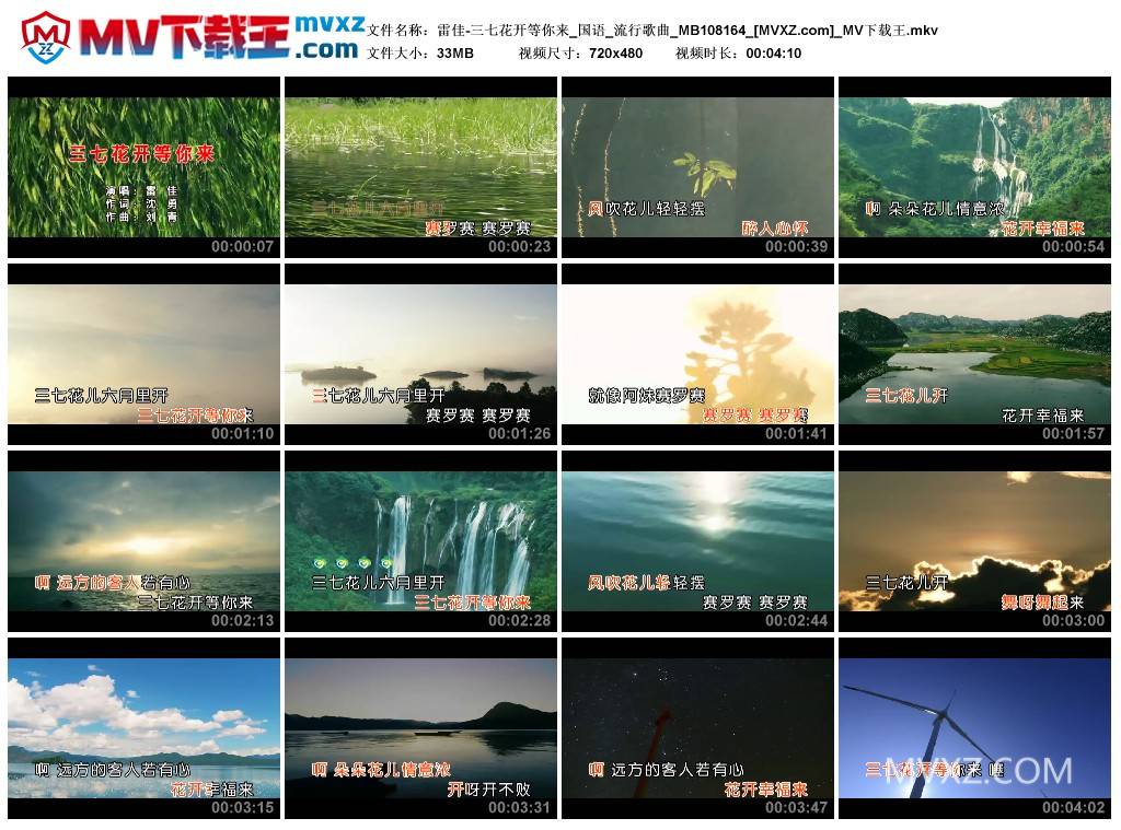 雷佳-三七花开等你来_国语_流行歌曲_MB108164